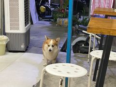 栗子-小梁哥云吞面(黄贝岭店)