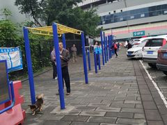 -重庆市奥林匹克体育中心-游泳跳水馆