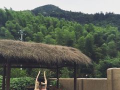 莫干·遥远的山-看见远方·莫干遥远的山民宿