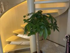 -泰合玺·精油疗愈 SPA(南京河西万达店)
