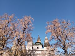 -北京石刻艺术博物馆(五塔寺)