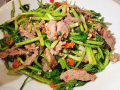 香菜炒牛肉-壹盏灯(惠农店)