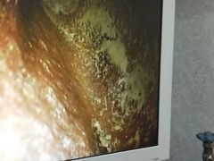 -宠福鑫康馨动物医院·骨科·眼科