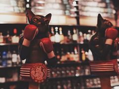 -Boxing Cat Brewery拳击猫精酿啤酒馆(思南公馆店)