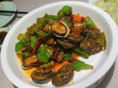 辣炒小鲍鱼-船歌·鱼水饺青岛菜(黄岛珠江路店)