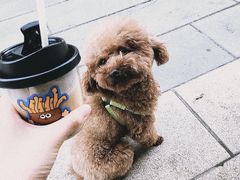 -Fulu Coffee福禄(花园城店)