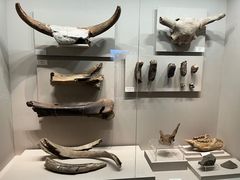 -齐齐哈尔市博物馆