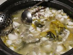 -周渝食惦酸菜鱼(青浦店)