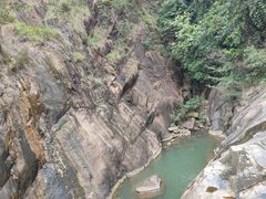 -广州白江湖森林公园