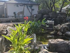 -老村长农家院