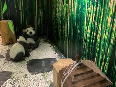 -星空失恋博物馆(双子塔旗舰店)