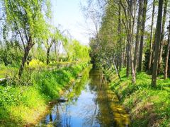 -前小桔亲子创意农场·草莓采摘·露营烧烤