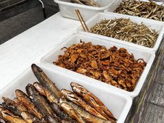 -靖港古镇