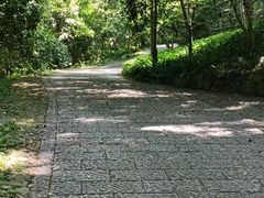 -宋宴(虎跑店)