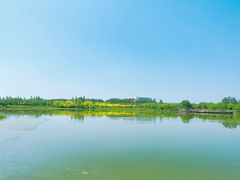 -东郊湿地公园