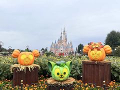 -上海迪士尼度假区