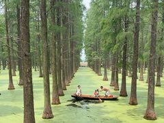 -渌洋湖湿地公园
