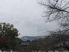 -醍醐寺