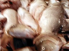 -北京清河镇农副产品交易市场中心