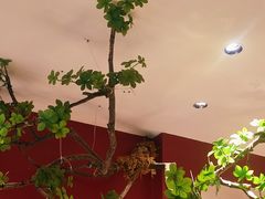 -九鼎轩脆毛肚火锅(三钢里店)
