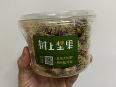 燕麦雪花酥枣-树上坚果(瑞城店)
