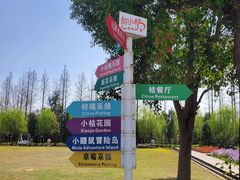 -前小桔亲子创意农场·草莓采摘·露营烧烤