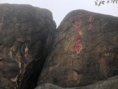 -南山植物园
