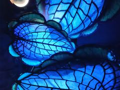 -奥兰多迪士尼动物王国乐园