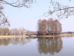 -上海辰山植物园