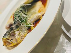 -明湖楼·经典鲁菜山东海鲜(大明湖店)