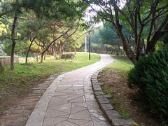 -前关湿地公园