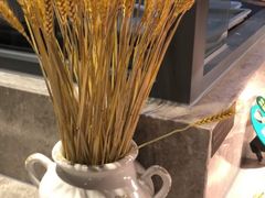 -比格比萨自助(万柳华联店)