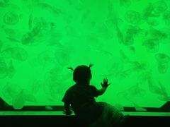 -沈阳海洋探索中心