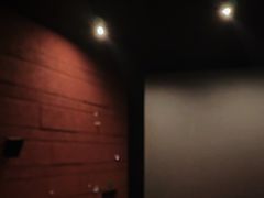 -卢米埃影城(长楹天街IMAX激光店)