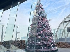 -Hi City·城市之巅