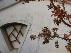 -团结湖公园
