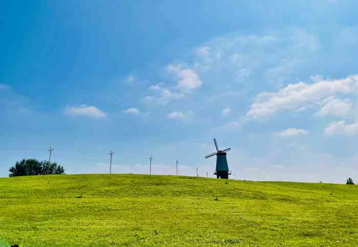 顺义千亩花海-"在温榆河边上的格拉斯路旁,导航导楼台村千.