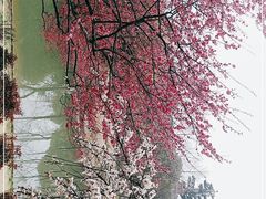 -白塘生态植物园