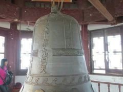 -林屋梅海青梅保护基地