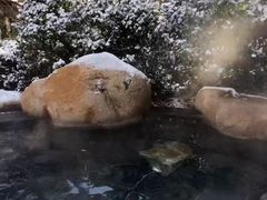 -威海天沐温泉度假区