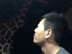 -清迈夜间动物园