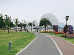 -野狸岛