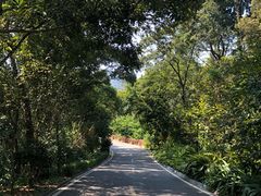 -广州市流溪河国家森林公园