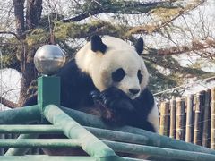 -天津市动物园