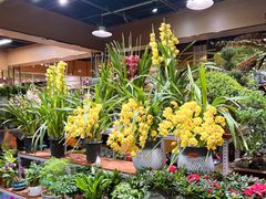 -大自然花鸟鱼虫市场