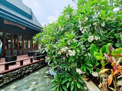 -亚马逊丛林水乐园