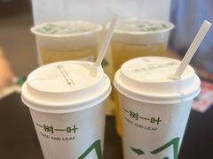 -一树一叶·福建茶档(石鼓路店)
