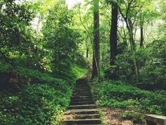 -岳麓山风景名胜区