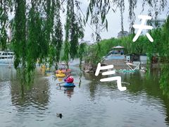 -团结湖公园