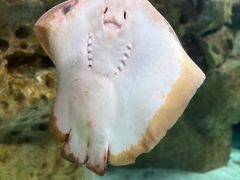 -珠海长隆海洋王国